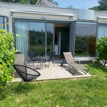 *Brandnew* Modernes Apartment In Den Weinbergen Mit Pool Und Sauna Spielfeld Kültér fotó